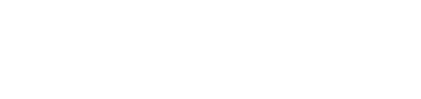 WCAG logo