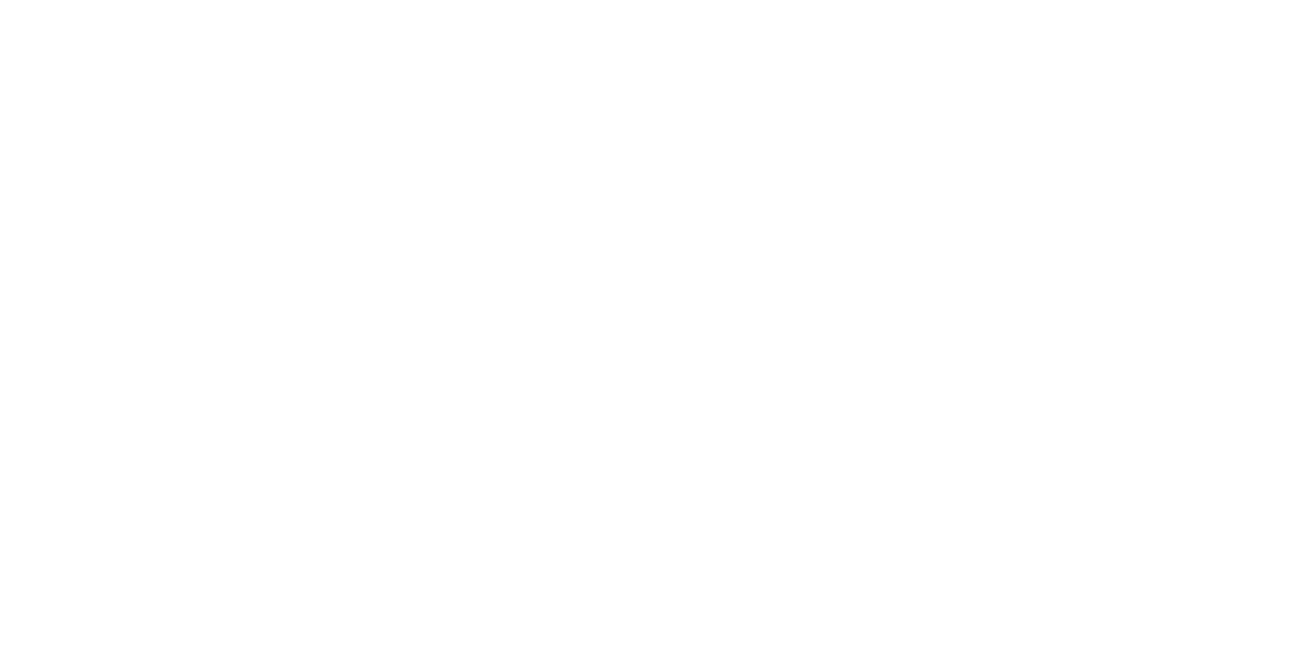 Webflow Logo