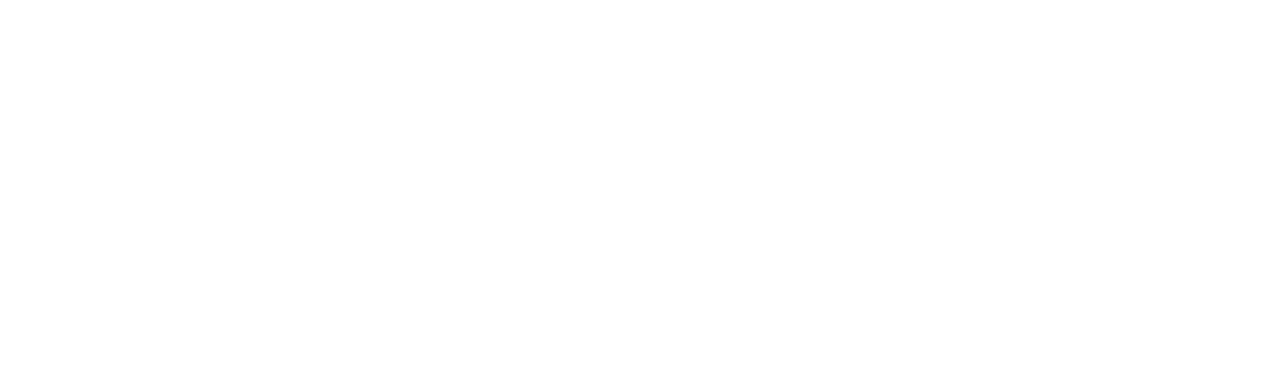 WordPress logo