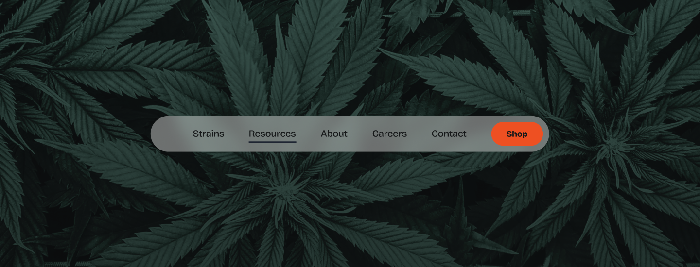 A graphic depicting a modern stylized website navigation bar, set against a background of cannabis plants. 